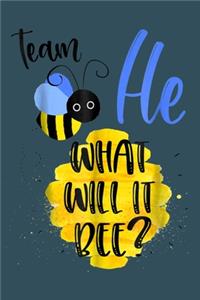 Team He What will it Bee