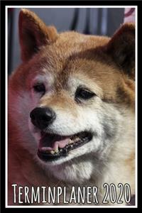 Terminplaner 2020