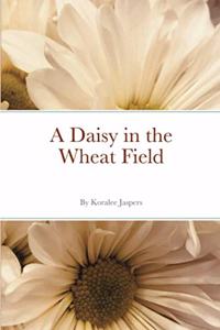 Daisy in the Wheat Field
