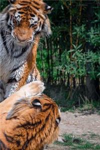 Tiger Notebook