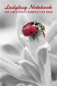Ladybug Notebook