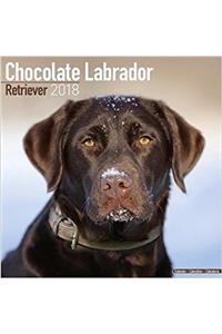 Chocolate Labrador Retriever Calendar 2018