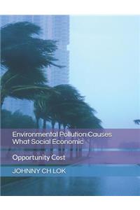 Environmental Pollution Causes What Social Economic