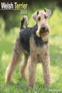 Welsh Terrier 2023 Wall Calendar