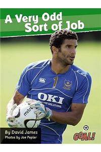 A Very Odd Sort of Job