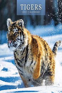 TIGERS 2023 SQUARE WALL CALENDAR