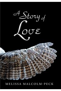 Story of Love