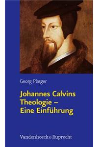 Johannes Calvins Theologie â Eine EinfÃ