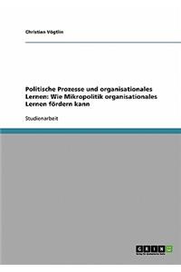 Politische Prozesse und organisationales Lernen