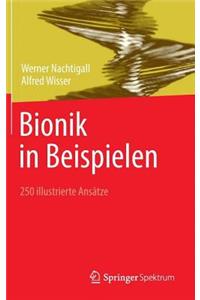 Bionik in Beispielen