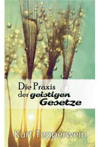 Die Praxis der geistigen Gesetze