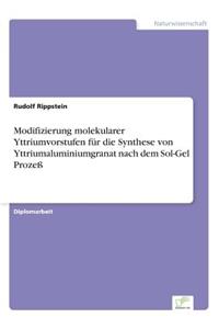 Modifizierung molekularer Yttriumvorstufen für die Synthese von Yttriumaluminiumgranat nach dem Sol-Gel Prozeß