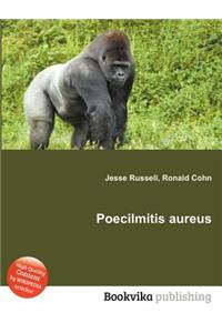 Poecilmitis Aureus