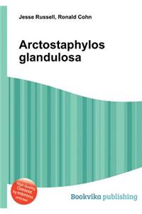 Arctostaphylos Glandulosa