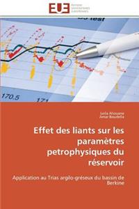 Effet Des Liants Sur Les Paramètres Petrophysiques Du Réservoir