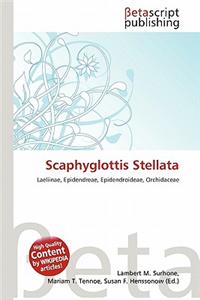 Scaphyglottis Stellata