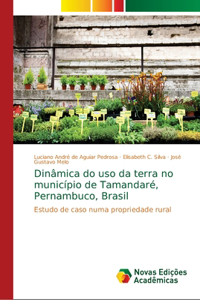 Dinâmica do uso da terra no município de Tamandaré, Pernambuco, Brasil