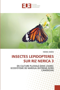 Insectes Lepidopteres Sur Riz Nerica 3