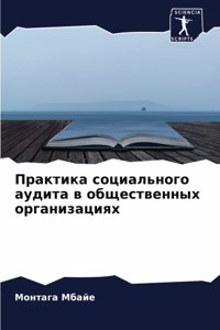 Практика социального аудита в общественн