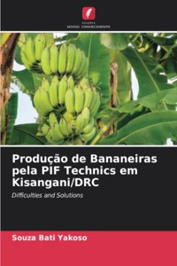 Produção de Bananeiras pela PIF Technics em Kisangani/DRC