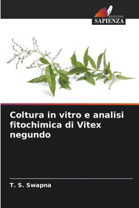 Coltura in vitro e analisi fitochimica di Vitex negundo