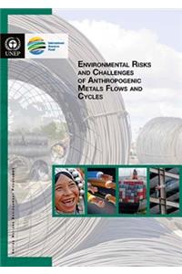 Environmental Risks and Challenges of Anthropogenic Metals Flows and Cycles