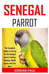 Senegal Parrot