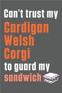 Can't trust my Cardigan Welsh Corgi to guard my sandwich