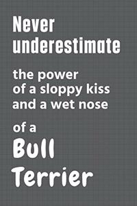 Never underestimate the power of a sloppy kiss and a wet nose of a Bull Terrier