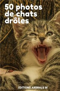 50 Photos de Chats Drôles