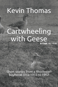 Cartwheeling with Geese