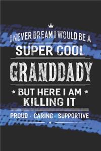 I Never Dream I Would Be A Super Cool Granddady But Here I Am Killing It