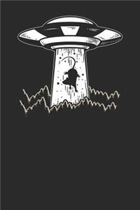 Mouse UFO