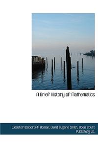A Brief History of Mathematics