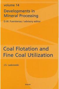 Coal Flotation and Fine Coal Utilization