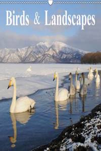 Birds & Landscapes / UK-Version 2016