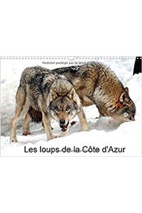 Les Loups de la Cote d'Azur 2017
