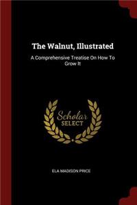 The Walnut, Illustrated