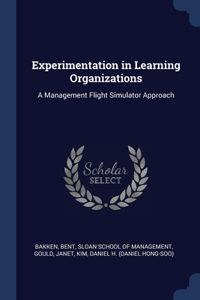Experimentation in Learning Organizations