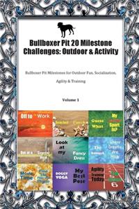 Bullboxer Pit 20 Milestone Challenges