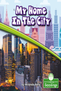 My Home in the City