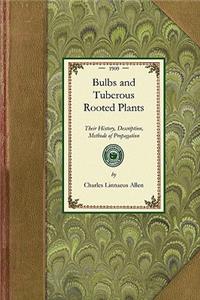 Bulbs and Tuberous Rooted Plants