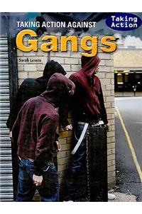 Taking Action Against Gangs
