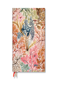 Paperblanks 2024 Anemone William Kilburn 12-Month Flexi Ultra Vertical 176 Pg 100 GSM