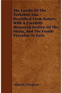 The Fossils Of The Yorkshire Lias - Described From Nature, With A Carefully Measured Section Of The Strata, And The Fossils Perculiar To Each.