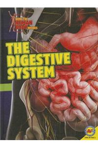 Digestive System