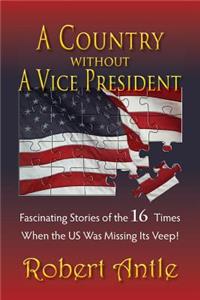 A Country Without A Vice President