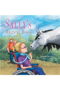 Sally's Magical Horse