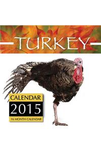 Turkey Calendar 2015