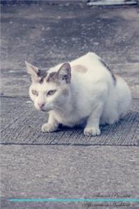 Thai Cat Affirmations Workbook Thai Cat Presents: Positive and Loving Affirmations Workbook. Includes: Mentoring Questions, Guidance, Supporting You.